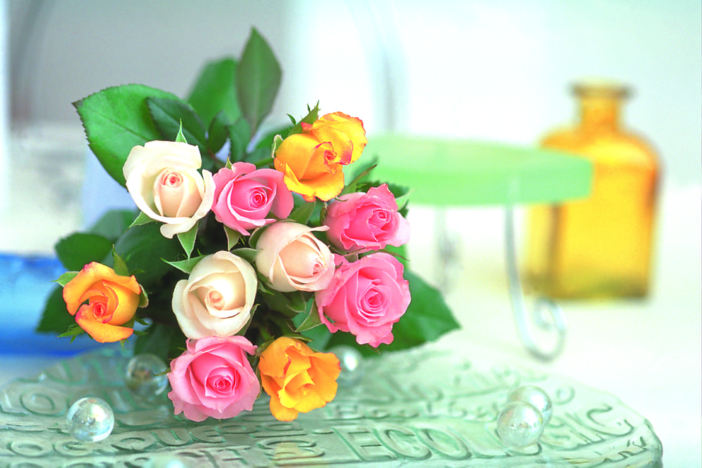 A magnificent bouquet of multi-colored roses.