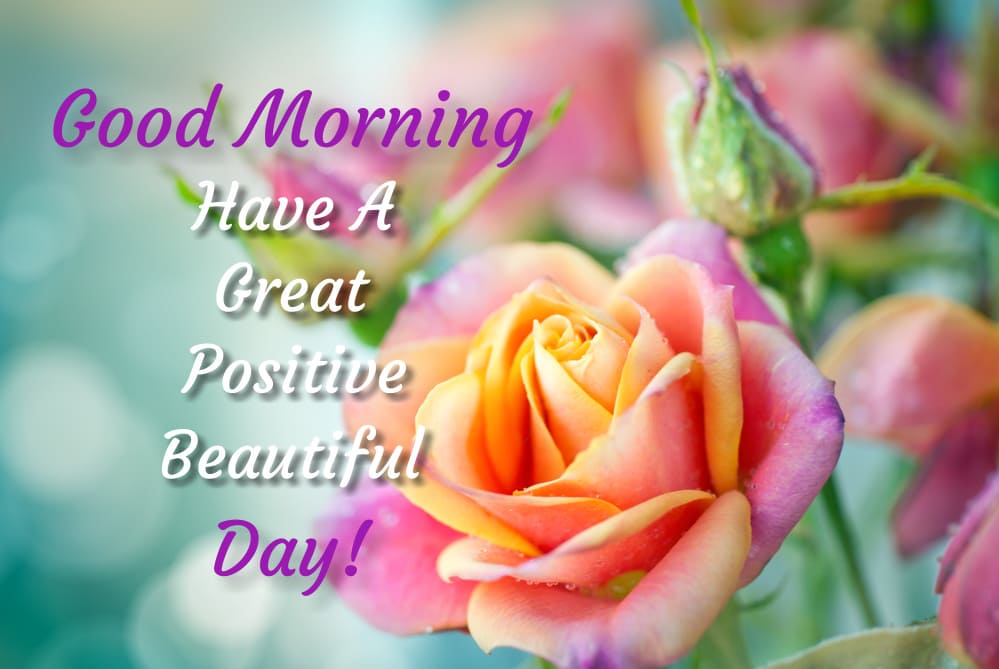 A luxurious bouquet of roses with a good morning wishes.