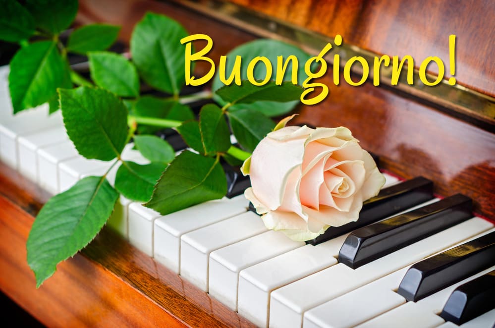 Photo of a beautiful composition, cream rose on piano keys. Good morning in Italian.