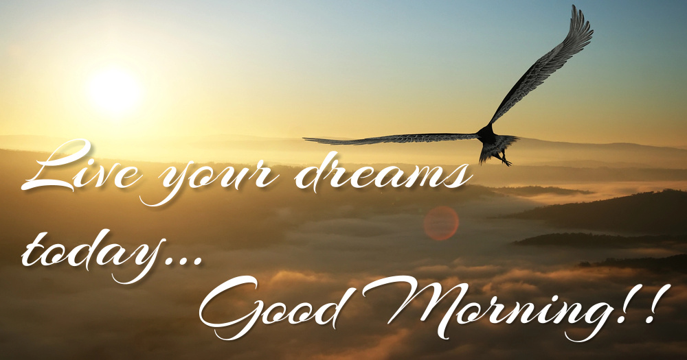 A magnificent eagle flying towards the sun. "Live your dreams today...".