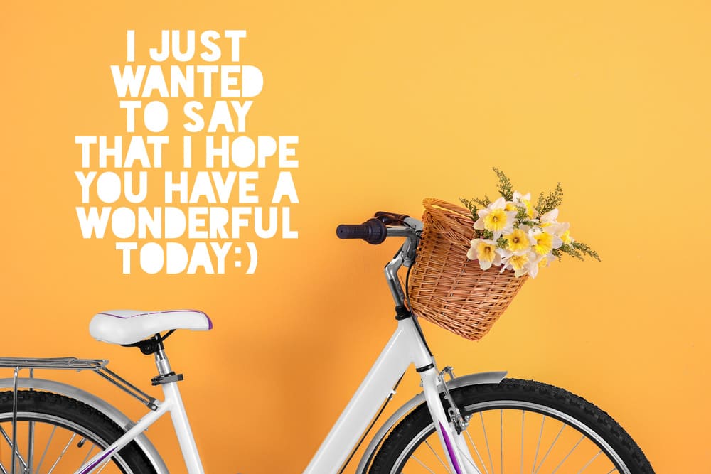 Photo of a beautiful composition, a walking bicycle with a bouquet of flowers.