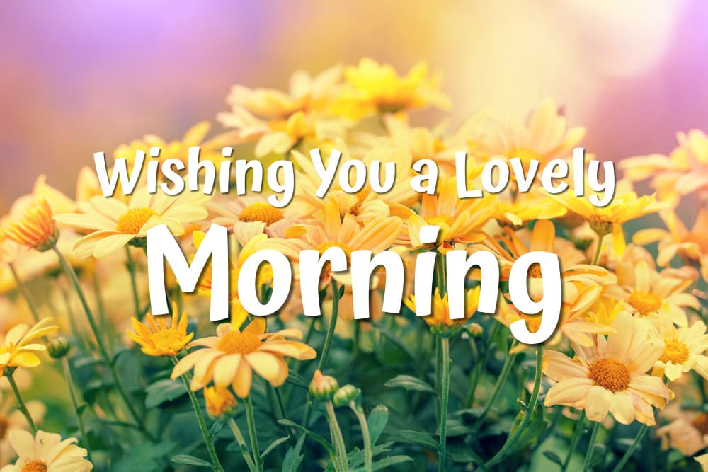 Flowers at sunrise light — Photo. Beautiful orange bouquet with good words "Wishing You a Lovely Morning".
