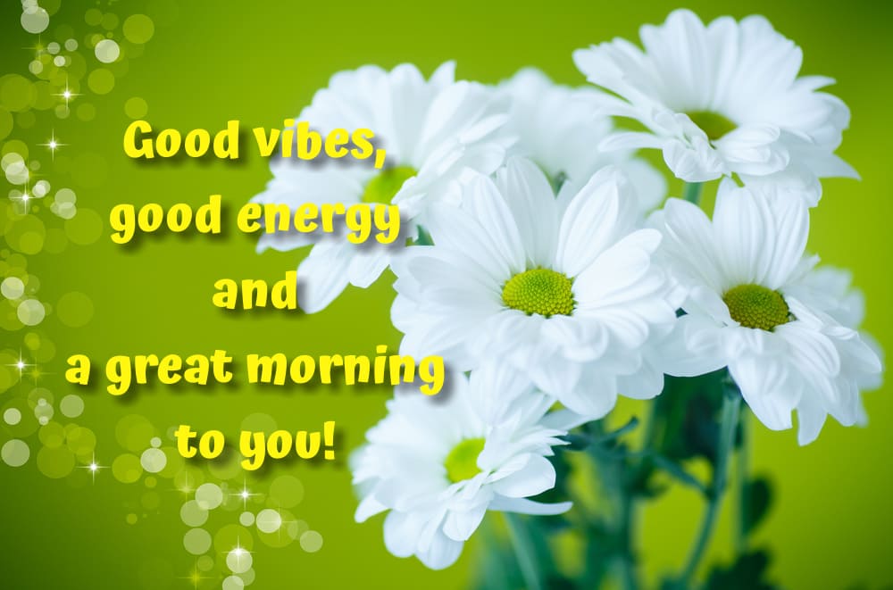 A magnificent bouquet of white daisies against a bright green background with a bokeh effect. The atmosphere is light, pure, and cheerful.