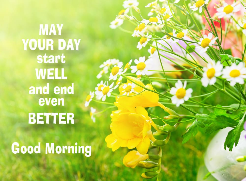 A colorful, beautiful bouquet of wildflowers with wishes for a wonderful day.