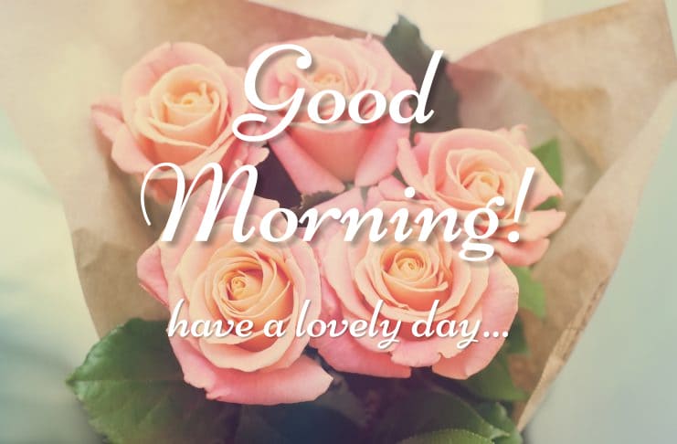 A beautiful morning bouquet of roses with a good wish "have a lovely day...".