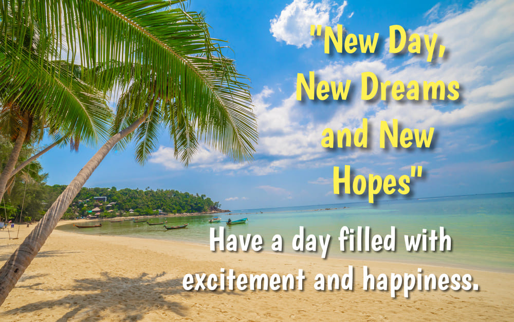 A magnificent morning beach with palm trees and clean sand. "New Day, New Dreams and New Hopes". Have a day filled with excitement and happiness.