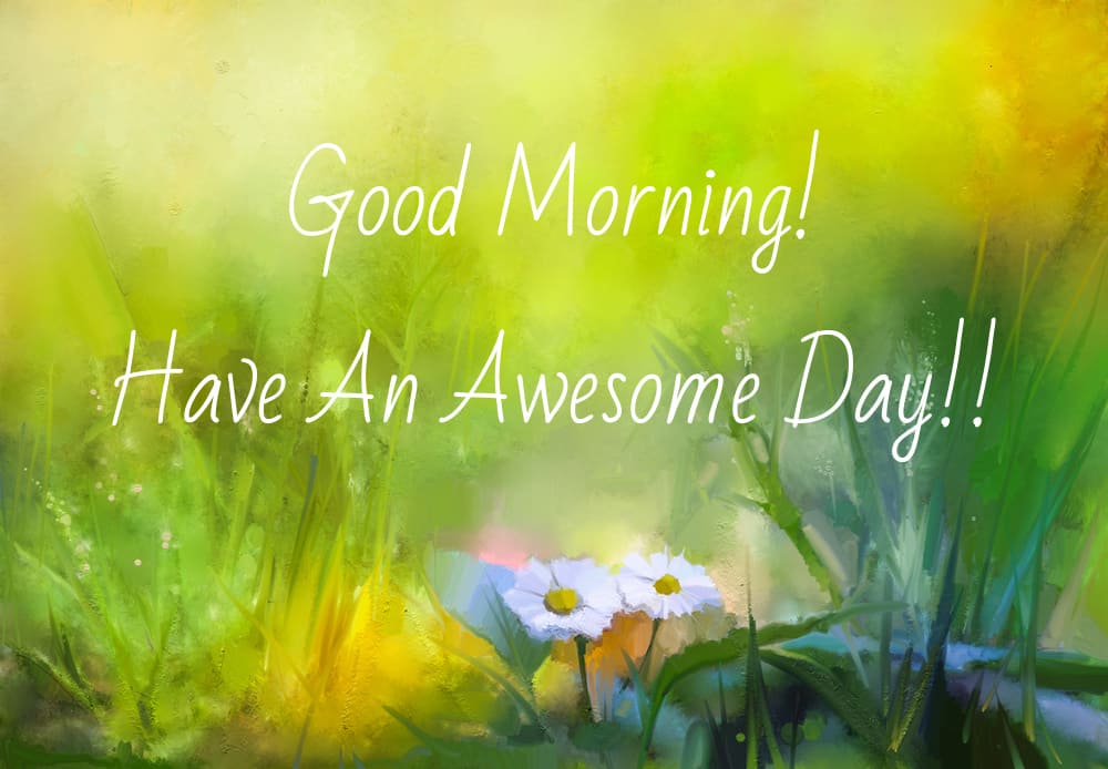 A morning watercolor picture with flowers in a meadow and wishes "Have An Awesome Day!!".