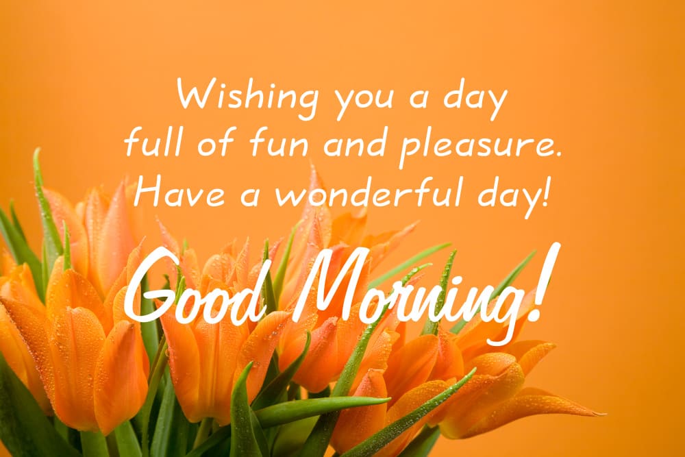 A fresh bouquet of orange tulips with heartfelt good morning wishes.