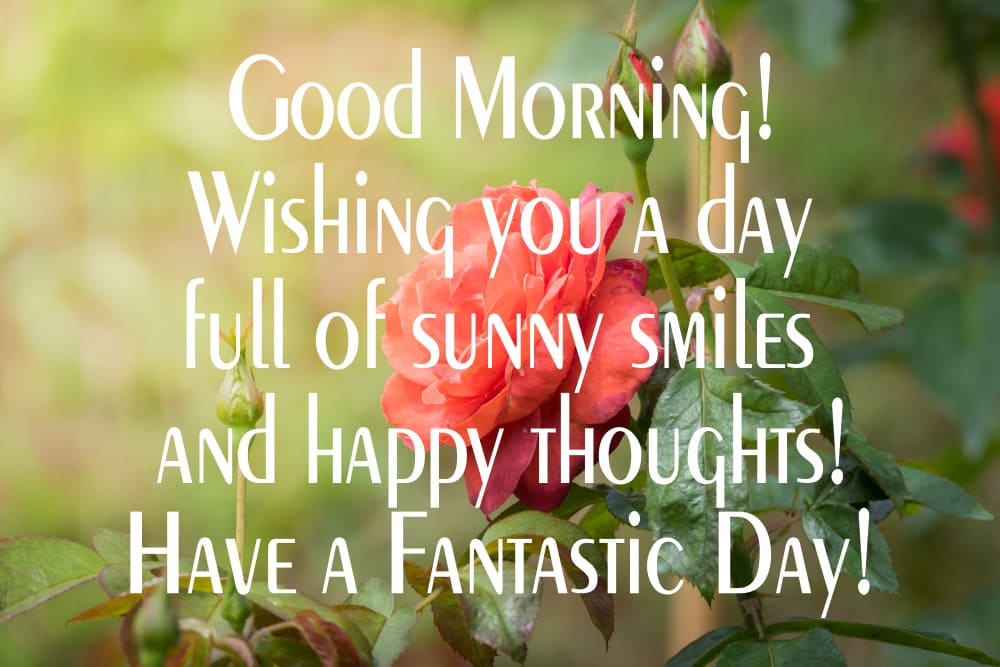 Beautiful red rose flower with morning wishes "Good Morning! Wishing you a day full of sunny smiles and happy thoughts! Have a Fantastic Day!"